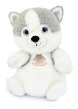 Plyšový psík Husky The Little Companions Histoire d’ Ours biely 20 cm od 0 mes