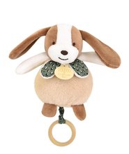 Plyšové zvieratko s melódiou Music Box Les Rikikis Doudou et Compagnie v darčekovom balení rôzne druhy 20 cm od 0 mes