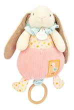 Plyšový zajačik s melódiou Lapin Ciboulette Music Box Doudou et Compagnie v darčekovom balení 20 cm od 0 mes