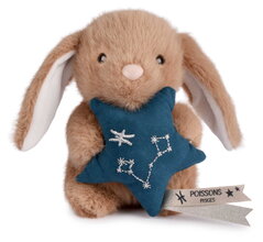 Plyšový zajačik s hviezdičkou Ryby Brown Bunny Pisces Astro Plush with Comforter Doudou et Compagnie v darčekovom balení hnedý 12 cm od 0 mes DC4662