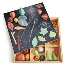 Fa gyűjtemény erdei kincsek My Forest Floor Tender Leaf Toys kövekkel levelekkel bogarakkal
