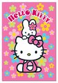 Puzzle Hello Kitty Educa 1000 dielov od 12 rokov