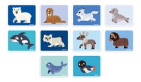 Magnetická kniha Polárne zvieratká Polar Animals Magnetibook Janod 30 magnetiek a 10 šablón