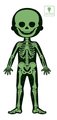 Vzdelávacie puzzle Ľudské telo Educational Puzzle Human Body Janod 50-75-100 dielov od 5 rokov