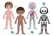 Vzdelávacie puzzle Ľudské telo Educational Puzzle Human Body Janod 50-75-100 dielov od 5 rokov