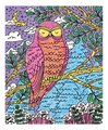 Maxi kreatívna sada Maľovanie Lesné zvieratká Magic Painting Forest Atelier Janod 6 magických malieb od 6 rokov J07874
