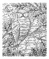 Maxi kreatívna sada Maľovanie Lesné zvieratká Magic Painting Forest Atelier Janod 6 magických malieb od 6 rokov J07874