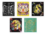 Mini kreatívna sada Zvieratká sveta Scratch Art Animals of the World Atelier Janod vyškrabovacie obrázky 5 kariet od 5 rokov J07891