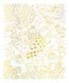 Maxi kreatívna sada Maľovanie vodovými farbami Zvieratká Golden Pictures Watercolor Animals Atelier Janod 4 obrázky od 6 rokov J07959