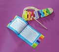 Drevený xylofón Music Xylophone Eichhorn farebný 8 tónov s kladivkom od 24 mes