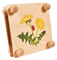 Drevený lis na kvety Herbal Outdoor Leaf Press Eichhorn stavaaj a vyfarbovuj spolu s farebnými ceruzkami od 6 rokov
