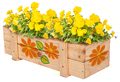 Drevený kvetináč Outdoor Flower Plant Eichhorn 'poskladaj a vymaľuj' s farbičkami od 6 rokov