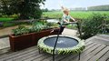 Trampolína s rúčkou na držanie Tiggy Junior Exit Toys priemer 140 cm zelená