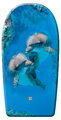 Penová doska na plávanie Seaside Wave Rider Mondo 94 cm