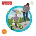 Trojkolka Fisher-Price Classic Plus Green smarTrike zelená od 10 mes