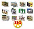 Pexeso Identic Memo Game Natura Educa 110 ks so zvieratami od 6 rokov