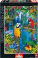 Puzzle Genuine Bird Tropical Land Educa 500 dielov od 11 rokov