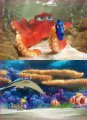 16695 b drevene puzzle finding dory