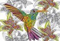 Puzzle Omaľovánky Kolibrík Doodle Art Educa 300 dielov a Fix lepidlo od 11 rokov