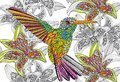 Puzzle Omaľovánky Kolibrík Doodle Art Educa 300 dielov a Fix lepidlo od 11 rokov