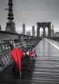 Puzzle Black&White Red Umbrella, Brooklyn Bridge Educa 1000 dielov a Fix lepidlo od 11 rokov