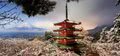 Puzzle panorama Mount Fuji and Chureito Pagoda Educa 3000 dielov od 11 rokov
