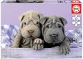 Puzzle Too early to get up Educa 100 dielov od 6 rokov