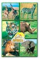 Rozprávkové kocky Safari Dohány 12 dielov