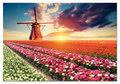 Puzzle Tulips Landscape Educa 1500 dielov a Fix lepidlo od 11 rokov