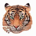 Puzzle Tiger face shape Educa 375 dielov a Fix lepidlo od 11 rokov