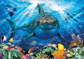 Puzzle Great White Shark Educa 500 dielov a Fix lepidlo od 11 rokov