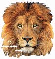 Puzzle Lion face shape Educa 375 dielov a Fix lepidlo od 11 rokov