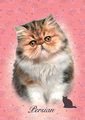 Puzzle Mini Box Persian Educa 100 dielov od 6 rokov