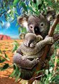 Puzzle Koala and Cub Educa 500 dielov a Fix lepidlo v balení od 11 rokov