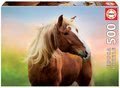 Puzzle Horse at Sunrise Educa 500 dielov a Fix lepidlo v balení od 11 rokov