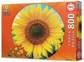 Puzzle Sunflower Round Educa 800 dielov a Fix lepidlo od 11 rokov