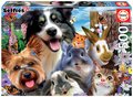 Puzzle Yard Buddies Selfie Educa 500 dielov a Fix lepidlo