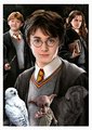 Puzzle Miniature series Harry Potter 1 Educa 1000 dielov a Fix lepidlo