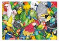 Puzzle Parrots Educa 500 dielov a Fix lepidlo