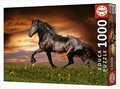 Puzzle Trotting Horse Educa 1000 dielov a Fix lepidlo