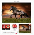 Puzzle Trotting Horse Educa 1000 dielov a Fix lepidlo