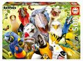 Puzzle Watch the Birdie Educa 500 dielov a Fix lepidlo