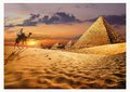 Puzzle Camel in the Desert Educa 1000 dielov a Fix lepidlo