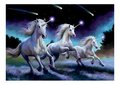 Puzzle Shooting Stars Anne Stokes Educa 1000 dielov a Fix lepidlo