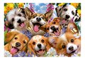 Puzzle Puppies Selfie Educa 1000 dielov a Fix lepidlo