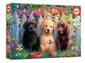 Puzzle Posing Puppies Educa 100 dielov od 6 rokov