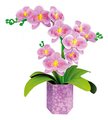 Kreatívne tvorenie orchidea Floral Art Orchid Educa poskladaj si vlastnú kvetinu od 8 rokov