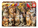 Puzzle Kittens and Birds Educa 500 dielov a Fix lepidlo