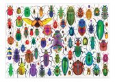 Puzzle Beatles Educa 500 dielov a Fix lepidlo