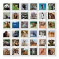 Pexeso v kufríku Identic Memo Game Animals Educa pamäťová hra 72 kariet od 6 rokov